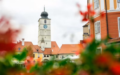 EMG Kielce Zagnańska: Kompleksowy Przewodnik po Usługach i Ofertach