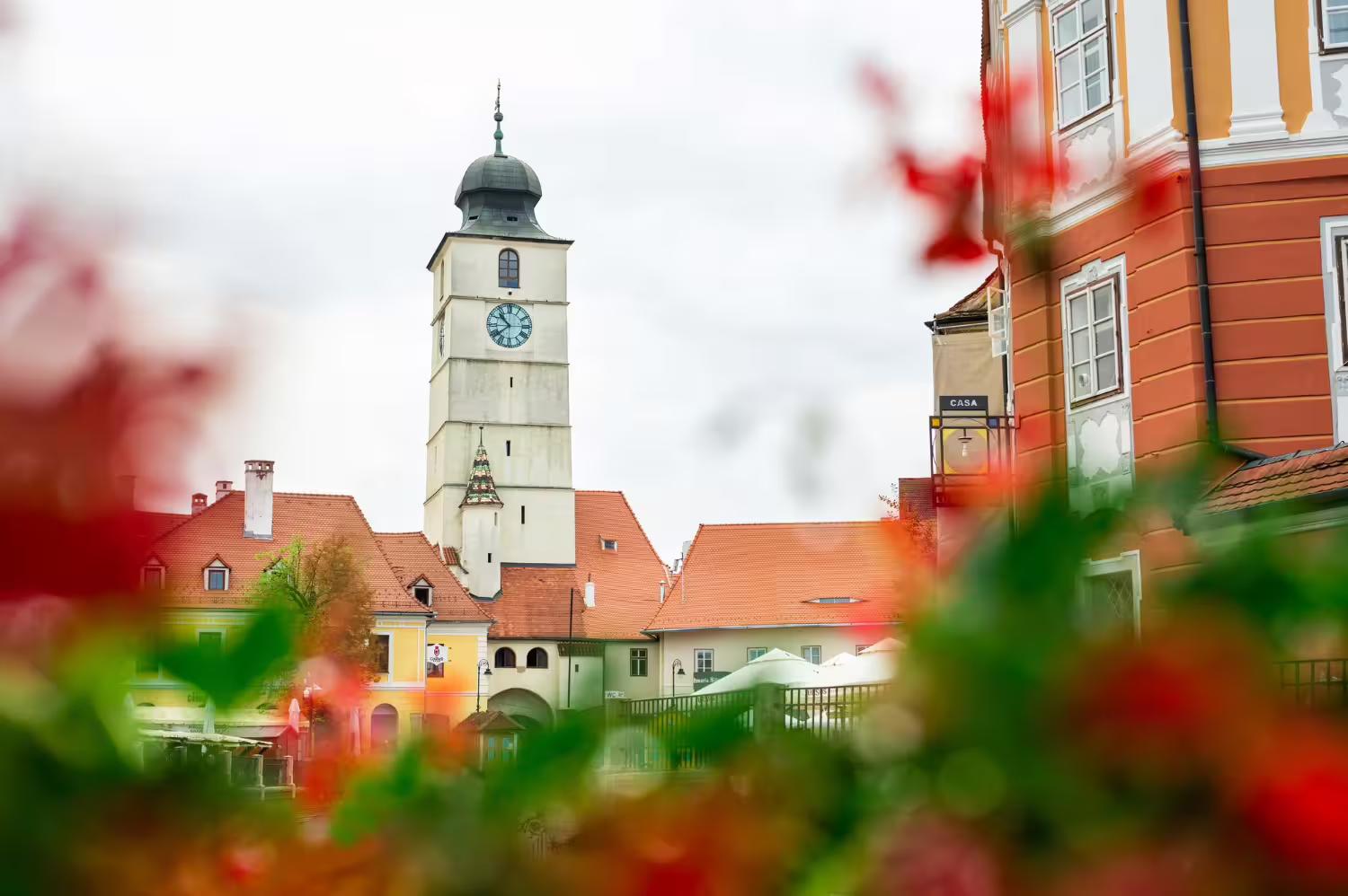 OBI Kielce ul. Zagnańska – Twój sklep z materiałami budowlanymi i wyposażeniem wnętrz - 2